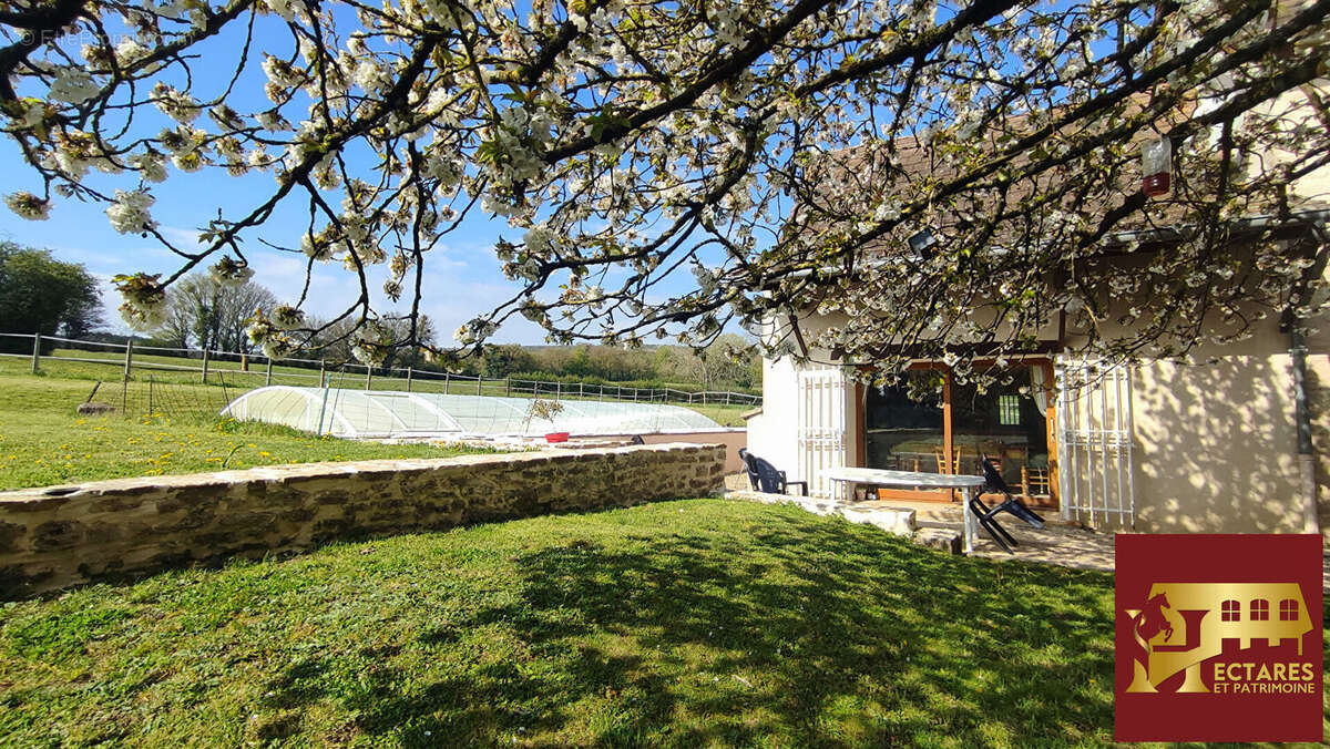Propriété avec gîte et 3,6 ha - photo 9