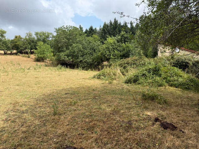 Terrain à MONTCEL