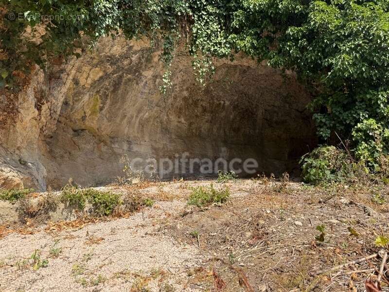 Berzé-la-Ville – Maison troglodyte avec grotte naturelle, charme brut et rénovation moderne - photo 4