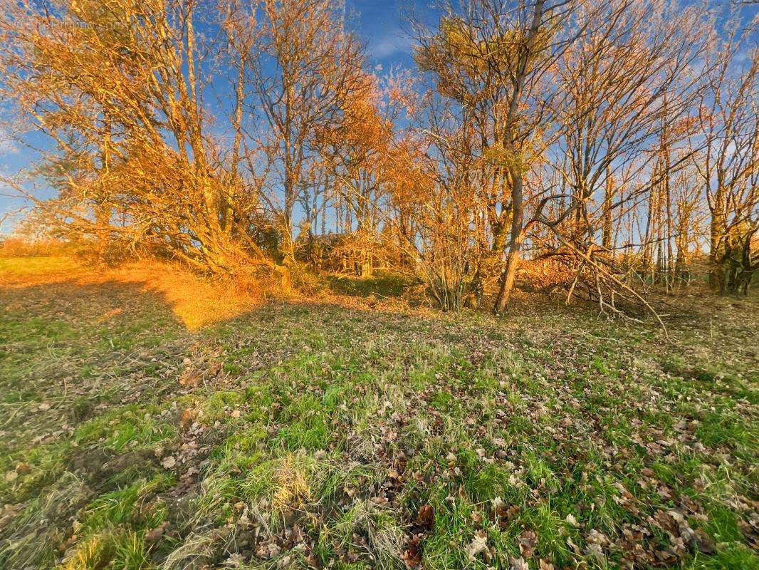 Terrain à CHAMPCEVINEL