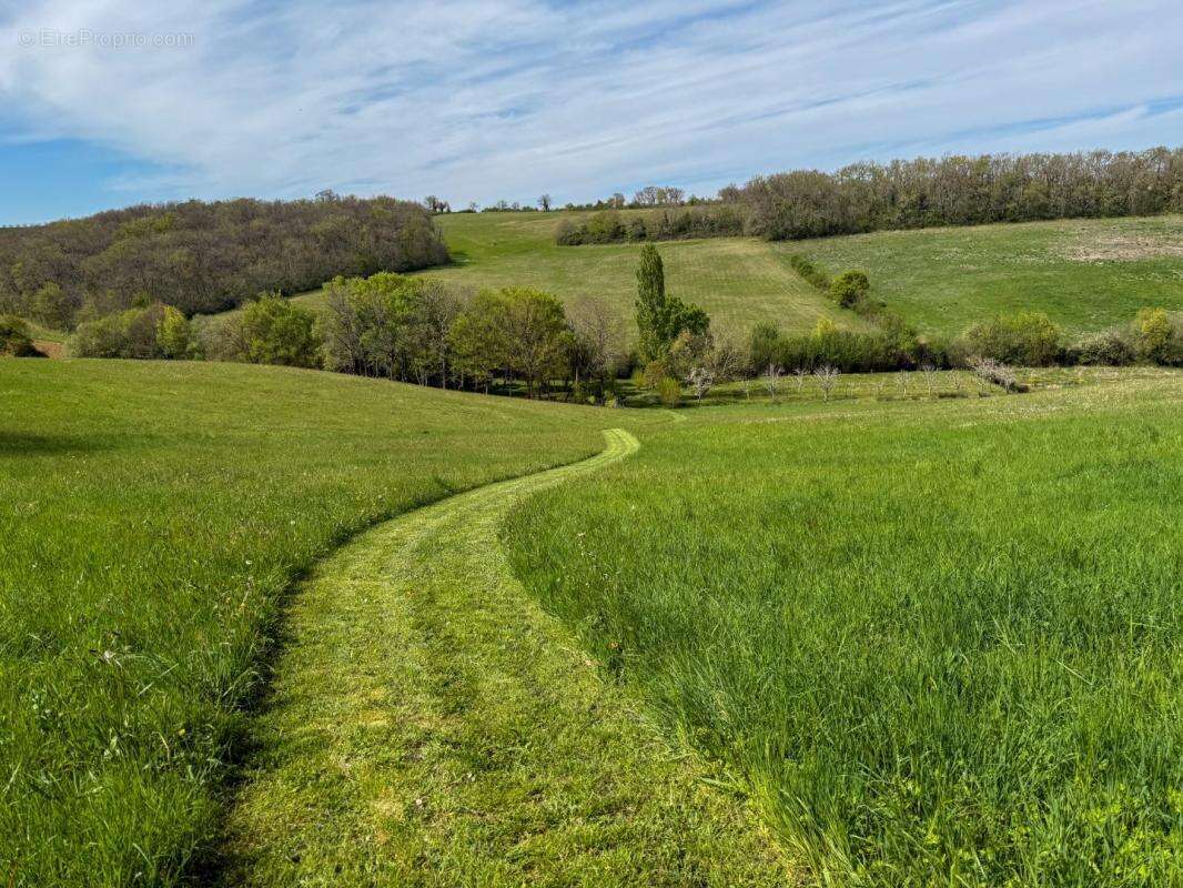 Maison à VALENCE-SUR-BAISE
