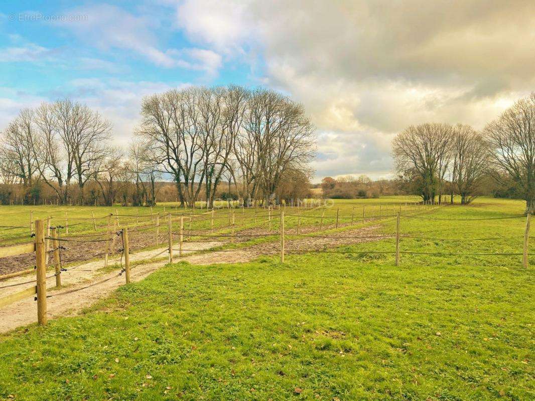 Maison à MORTAGNE-AU-PERCHE