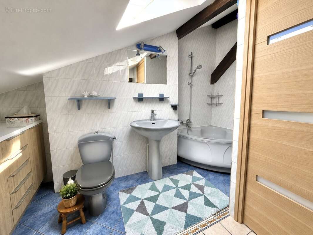 Appartement à VIZILLE
