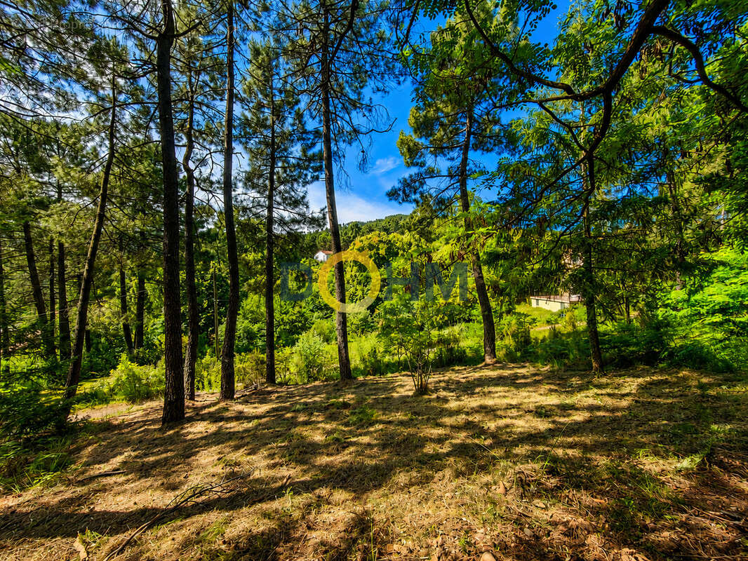 Secteur La Vernarède Maison 4ch 152m2 sur 5700m2 de terrain - photo 5