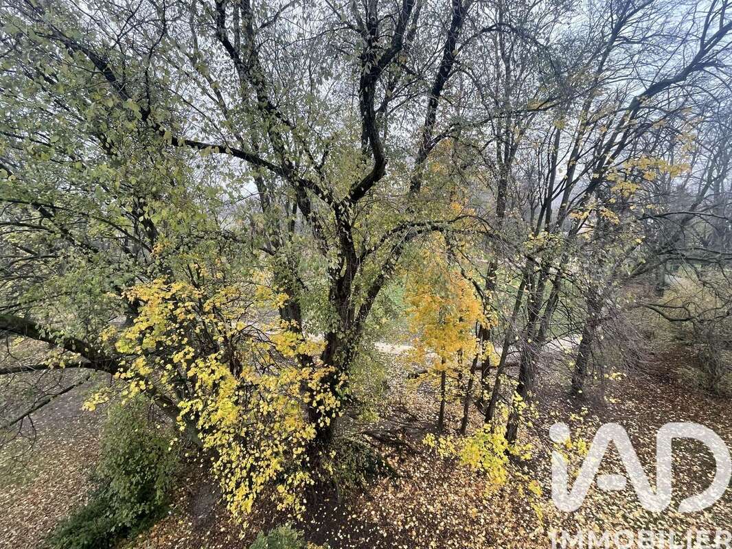 Photo 7 - Appartement à VILLEURBANNE