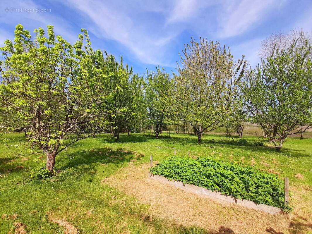 Maison à NAUSSANNES