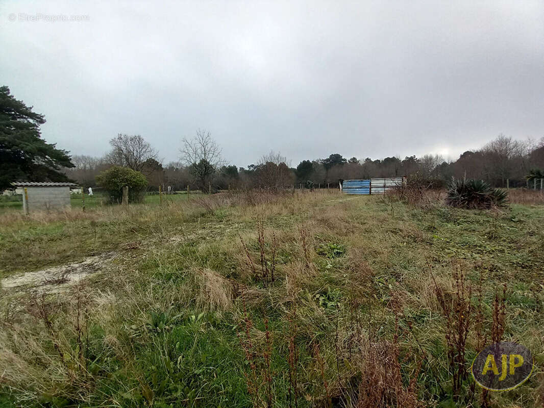 Terrain à LESPARRE-MEDOC