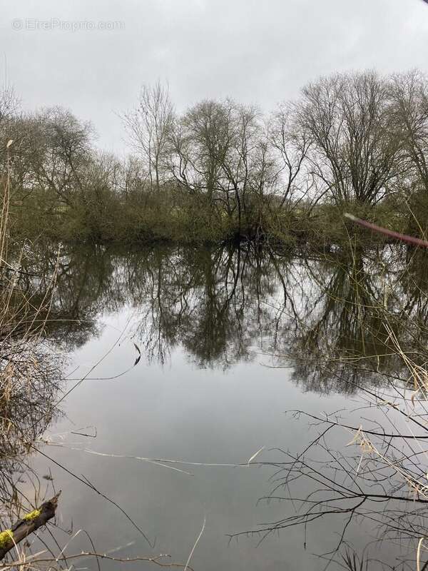 Terrain à CHATEAU-LA-VALLIERE