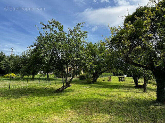 Photo 2 - Terrain à MEILLERAY