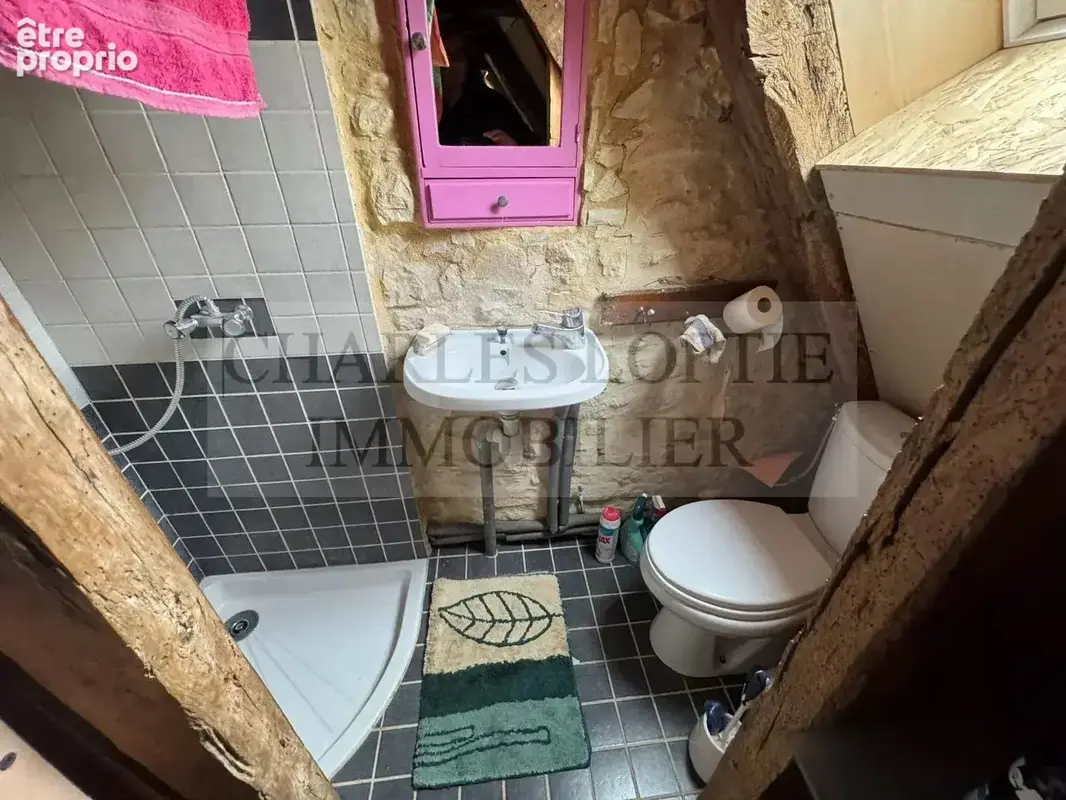 Charmante maison de village en pierre avec terrain arboré de 2400 m² - photo 16