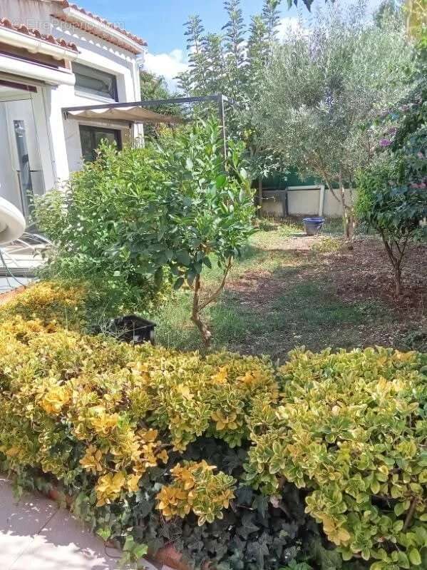 Maison à SOLLIES-PONT