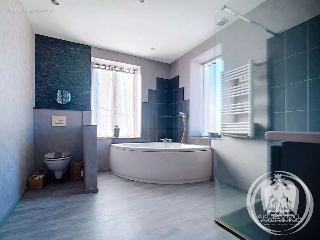 Maison à CREUZIER-LE-VIEUX