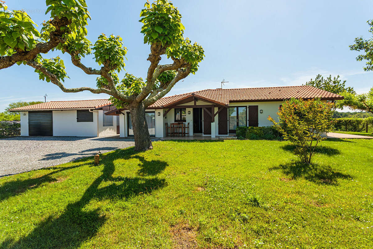 Maison à TOSSE