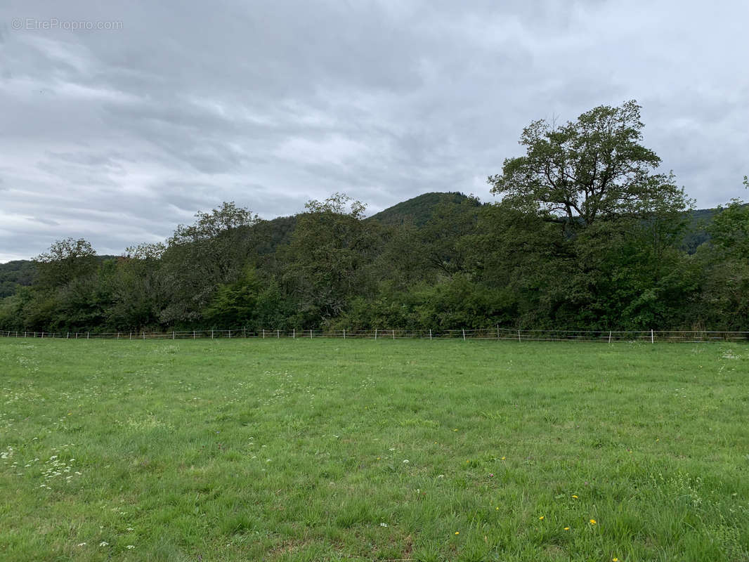 Terrain à PLANCHER-BAS