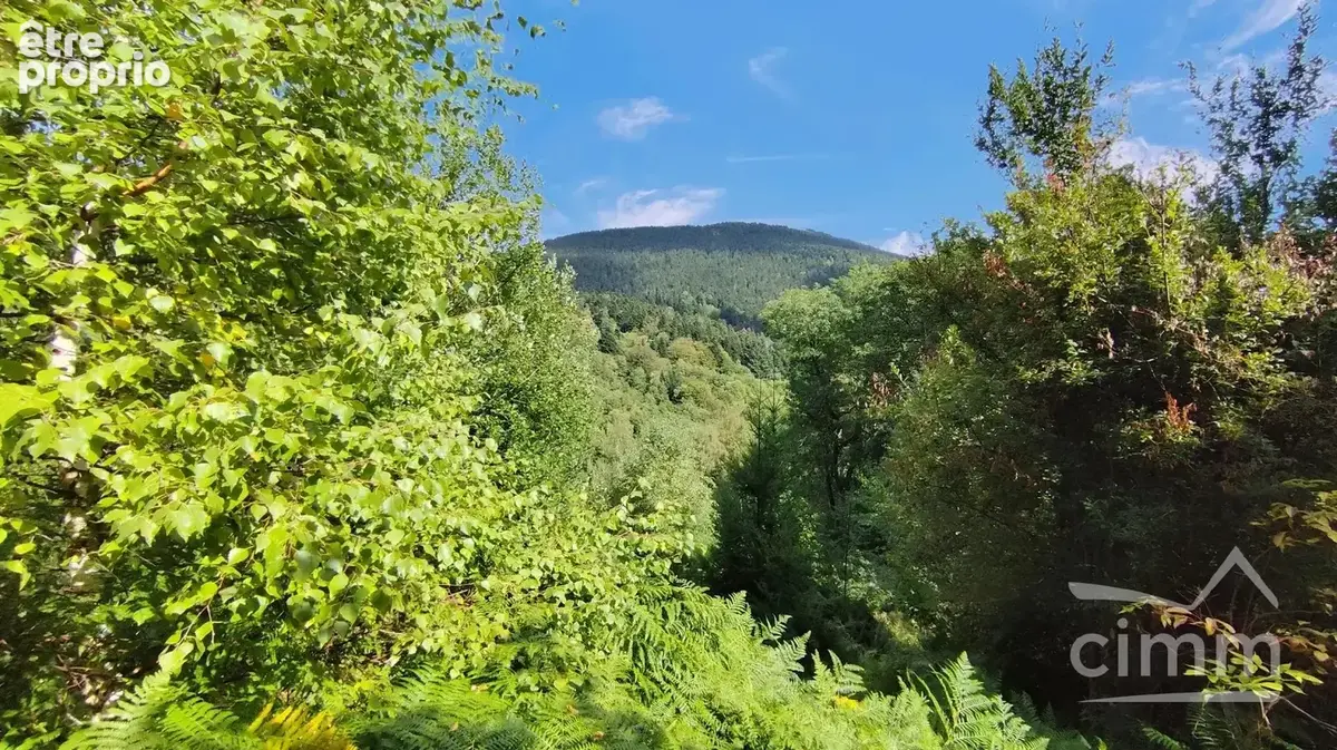 Maison au milieu des bois - photo 2
