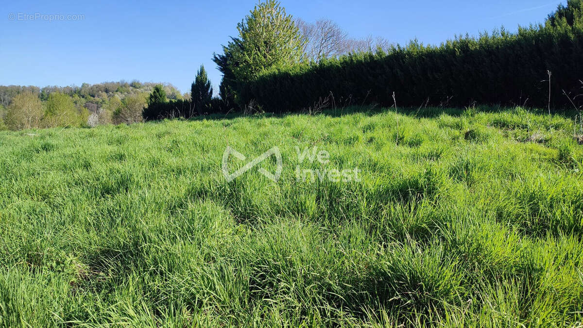 fond du terrain - Terrain à CRANSAC