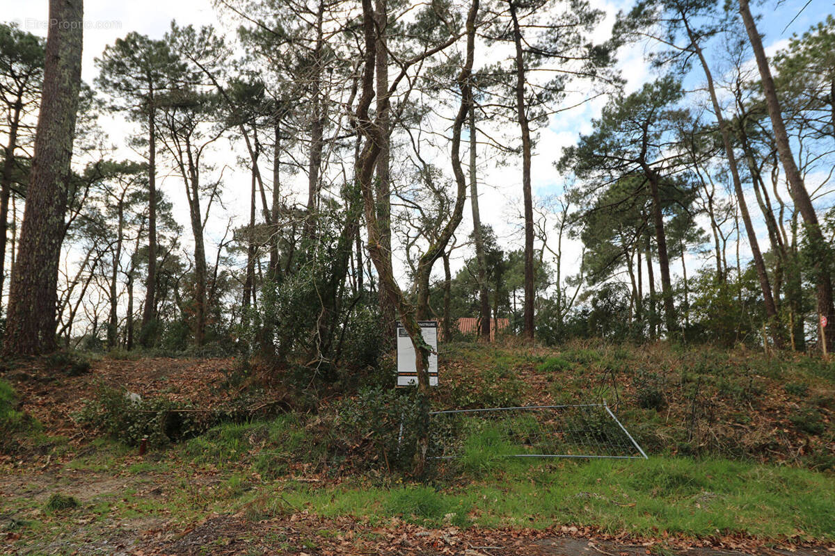 Terrain à CAPBRETON