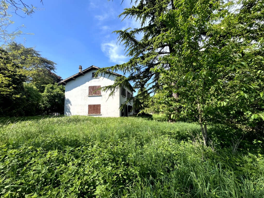 Maison à CONDEISSIAT