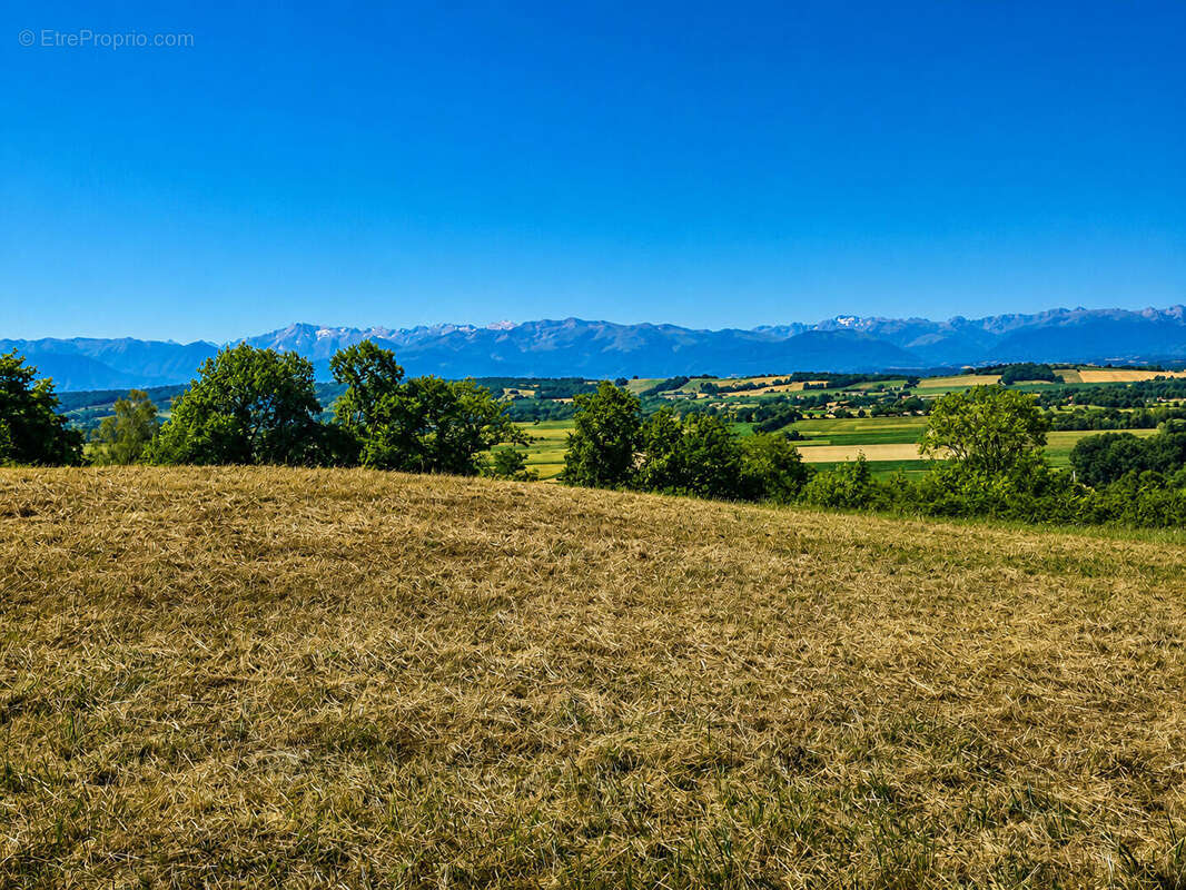 NOUVEAUTE VUE PYRENEES - Terrains constructibles à Andoins - photo 2