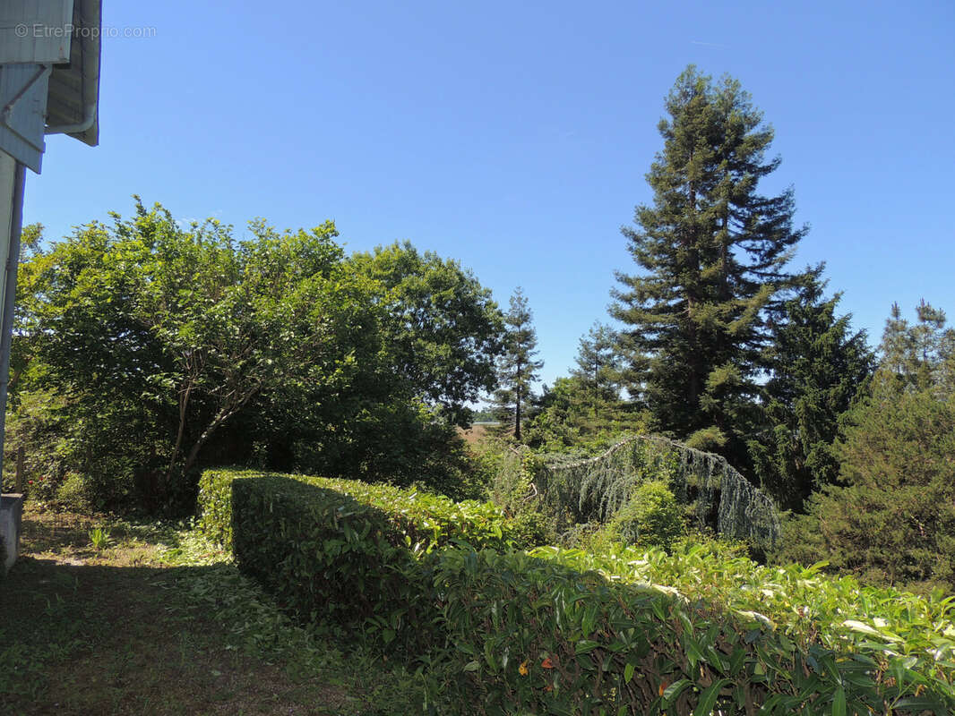 Maison à CASTAGNEDE