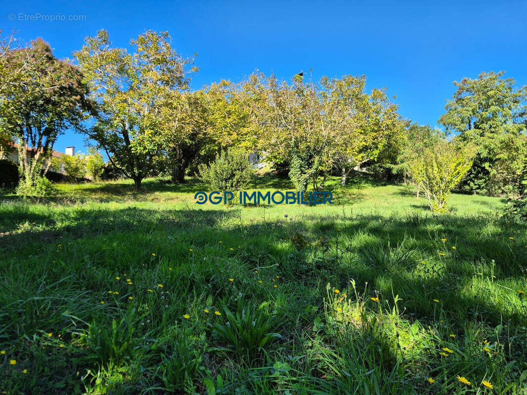 Terrain à CASTELNAU-D&#039;ESTRETEFONDS