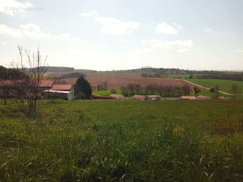 Terrain 1100m² Puycasquier (32120) 1 parcelle - photo 5