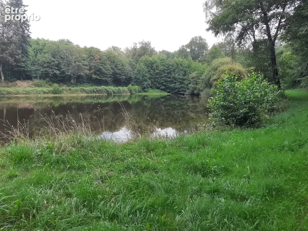 Terrain de loisirs avec etang - photo 2