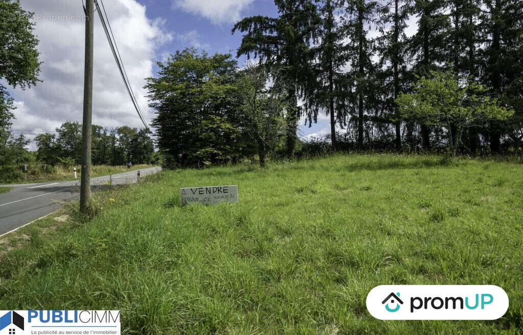 Terrain à SAINT-JUNIEN