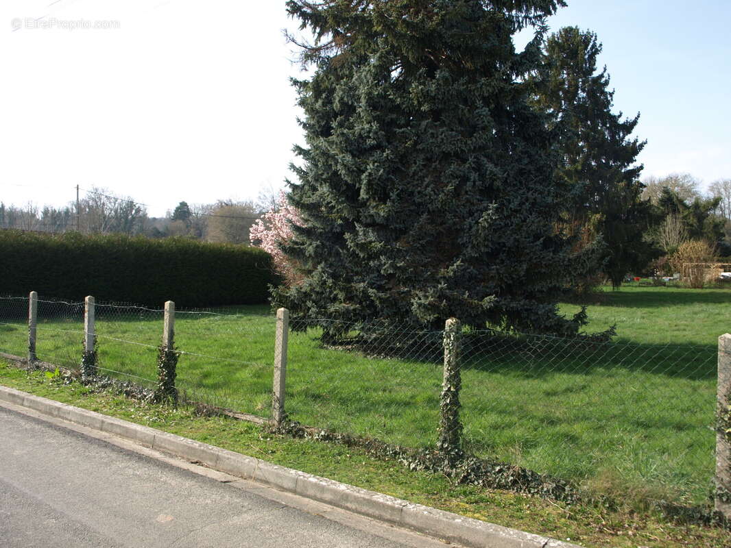 Terrain à MONTREUIL-SUR-BRECHE