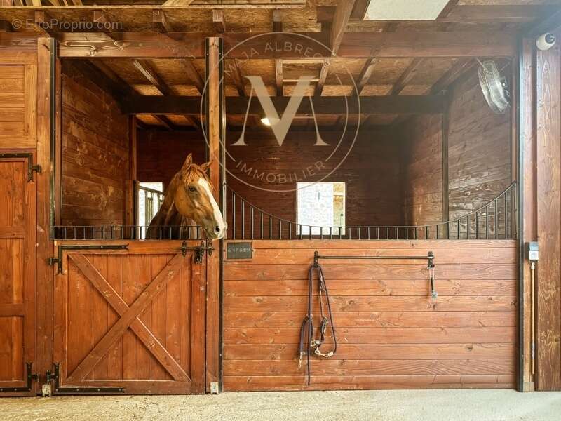 Propriété d’exception où chaque détail a été pensé pour le cheval… et pour ceux qui l’aiment proche de LAPLUME (47) - photo 2