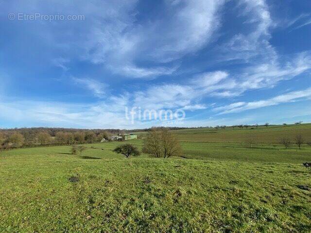 Terrain à WOELFLING-LES-SARREGUEMINES