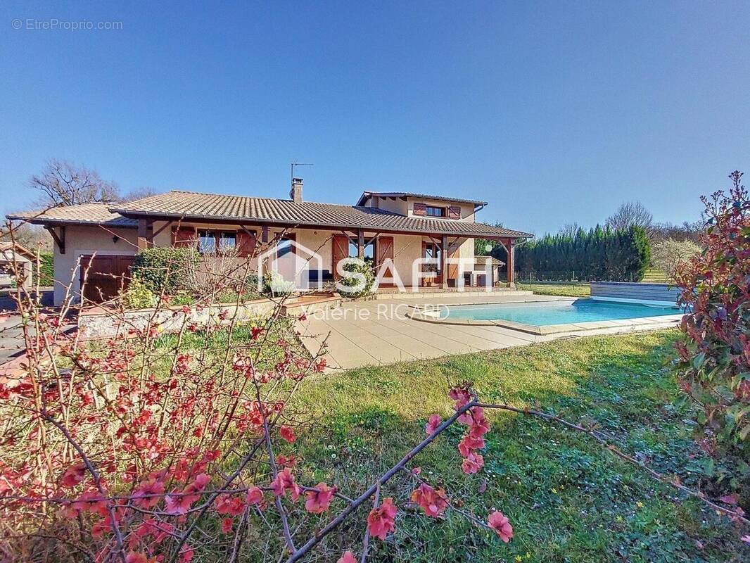 Photo 1 - Maison à NEGREPELISSE