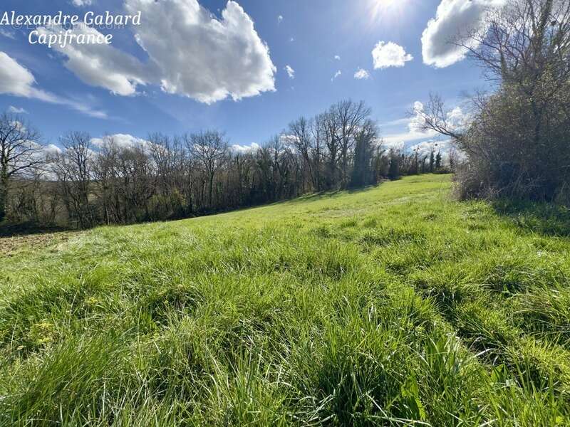 Maison à SAUVETERRE-DE-GUYENNE
