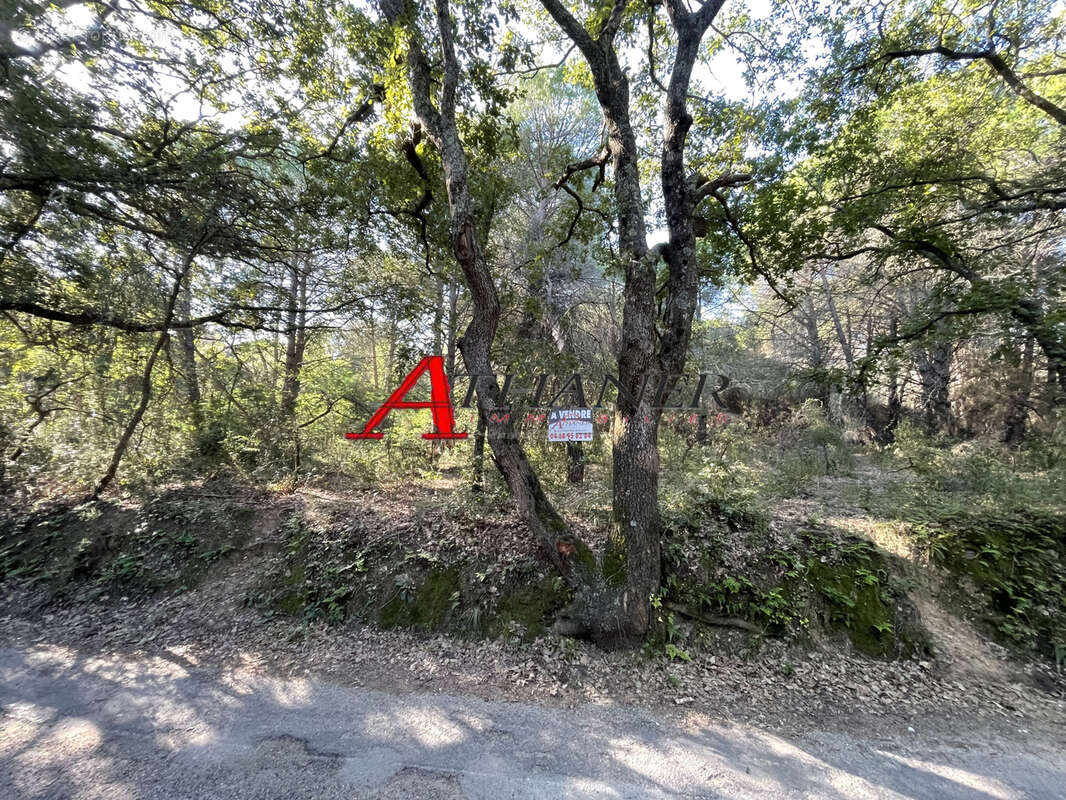 Terrain à ARGELES-SUR-MER