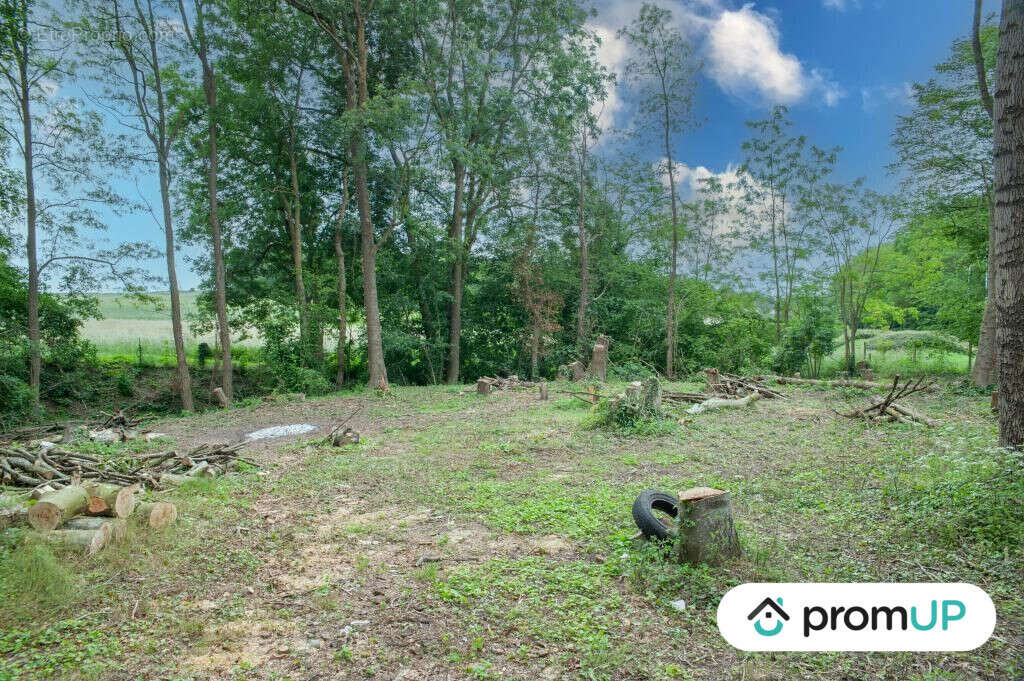 Terrain à NEUILLY-SAINT-FRONT