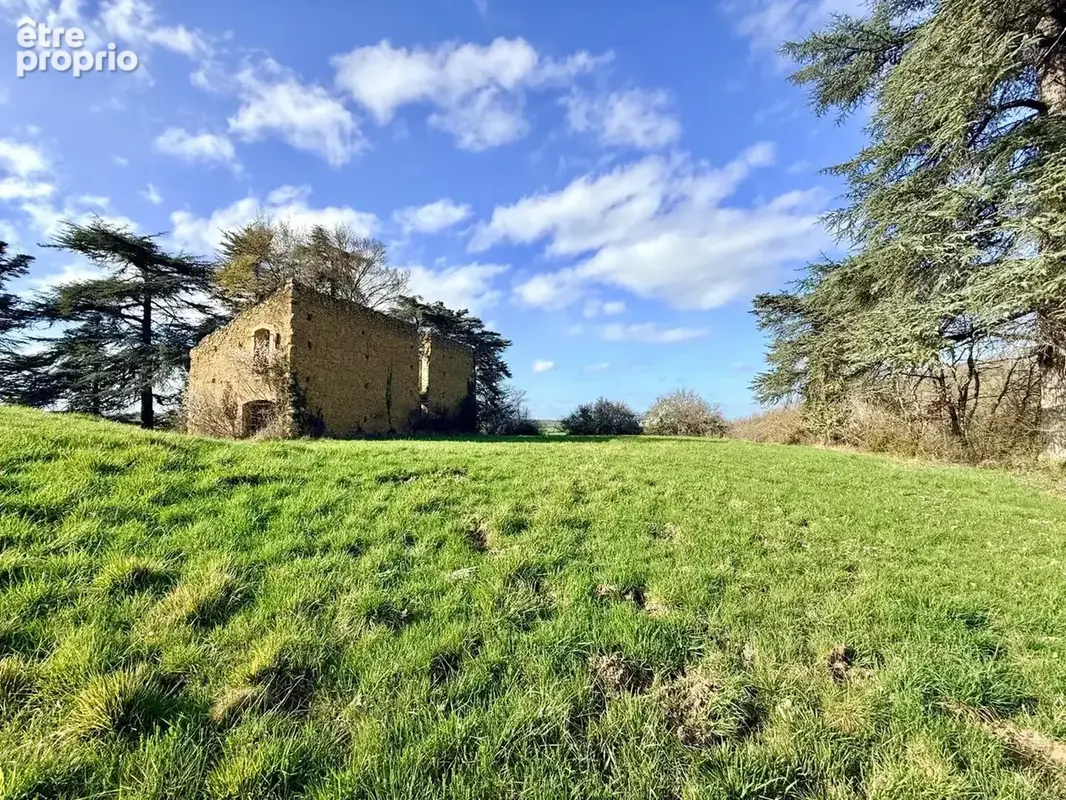 Maison 250 m² à Loubersan  - photo 9