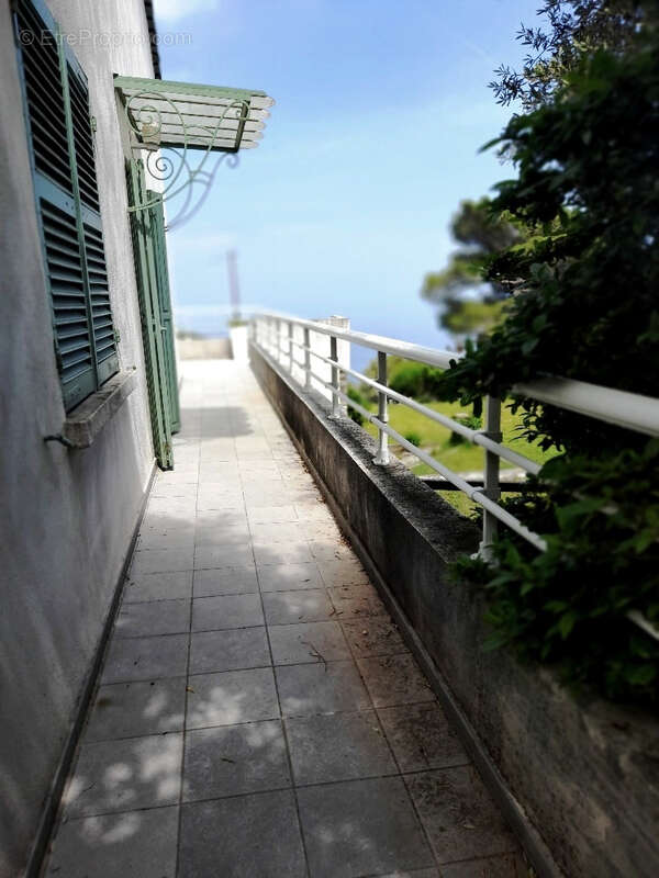 Maison à BRANDO