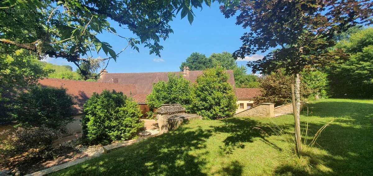 Maison 550 m² à Les Eyzies-De-Tayac-Sireuil  - photo 413