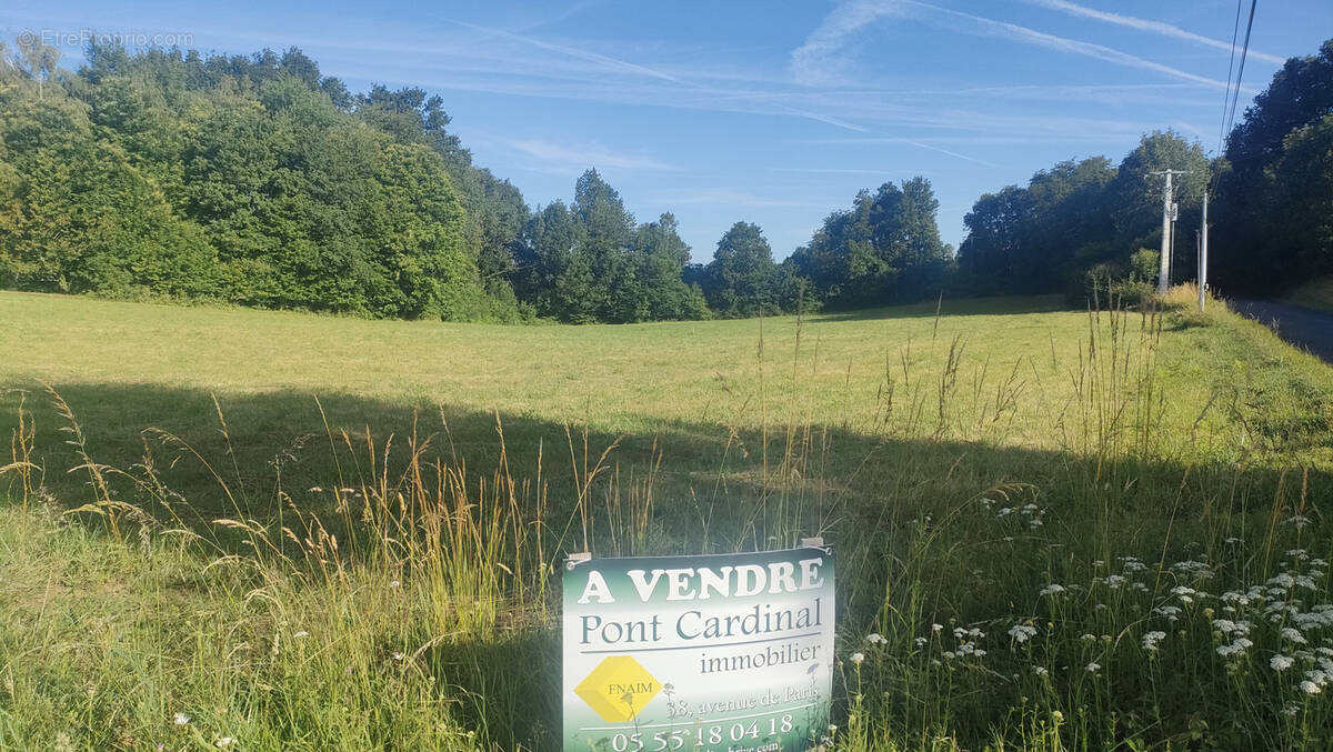 Terrain à JUILLAC