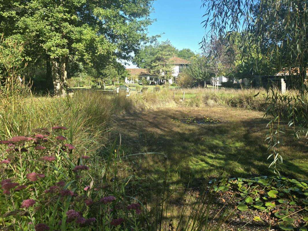Maison à BOURG-DU-BOST