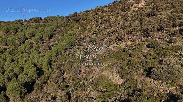 Terrain à BORMES-LES-MIMOSAS