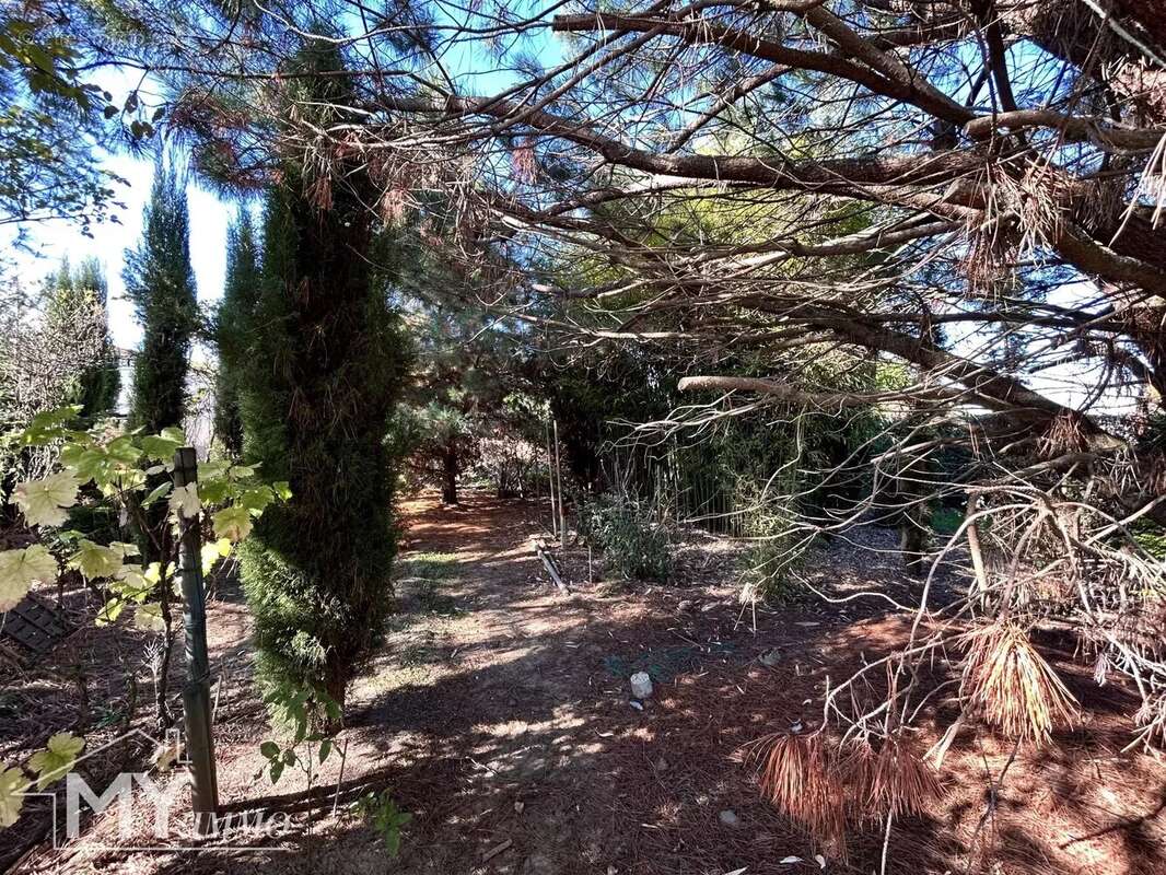 Maison à SAINT-AVIT-SAINT-NAZAIRE