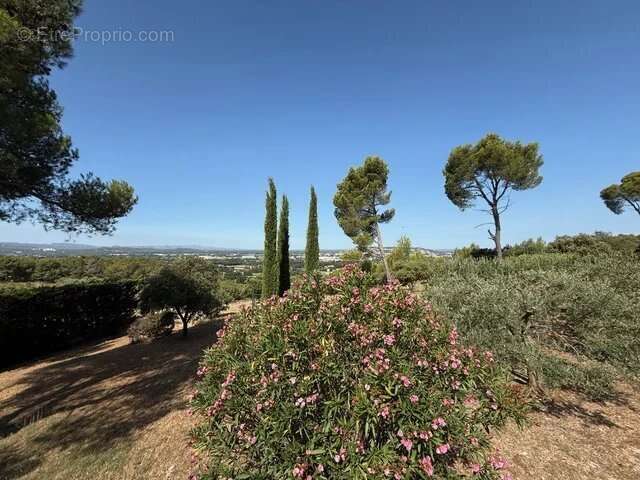Maison avec vue - photo 15