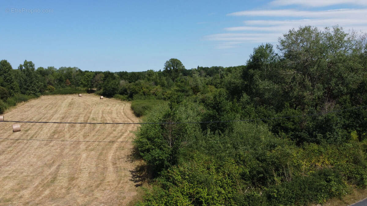 Terrain à bâtir à Pruniers En Sologne - photo 2