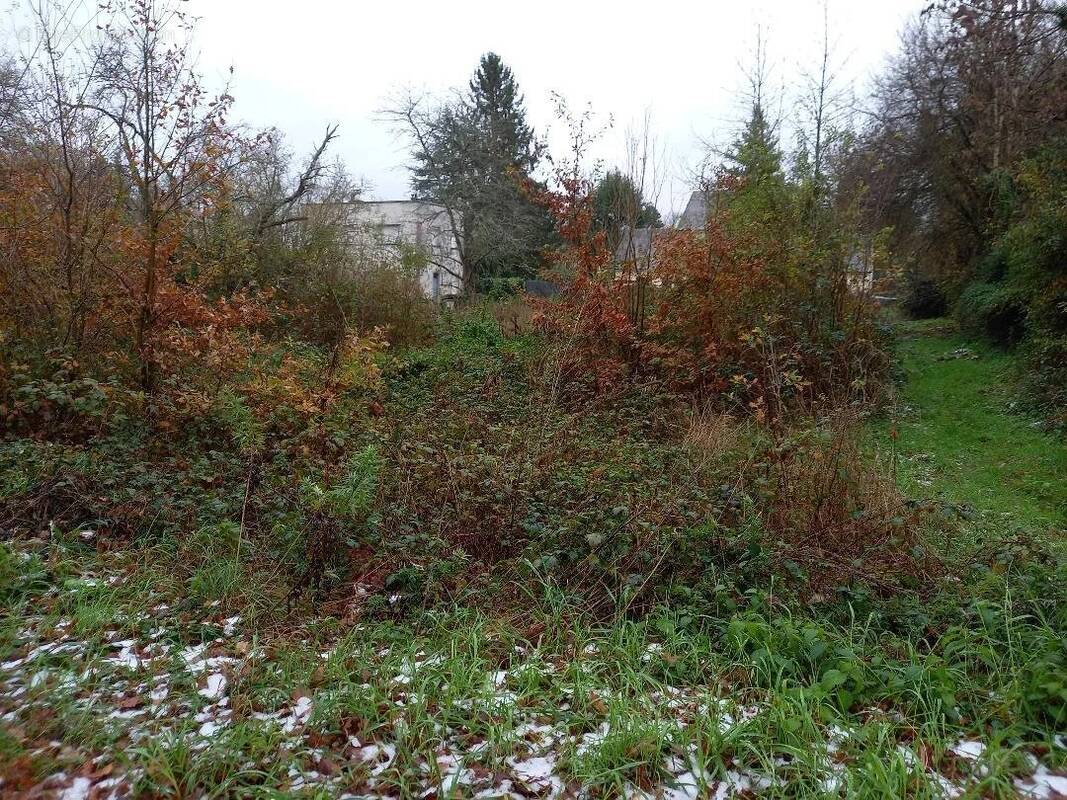 Terrain à SAMOIS-SUR-SEINE