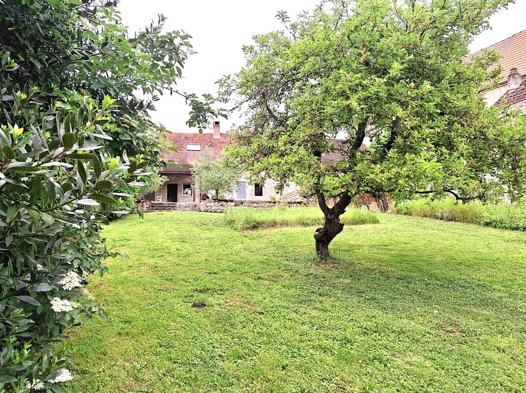 Maison à SAINT-JEAN-DE-TREZY