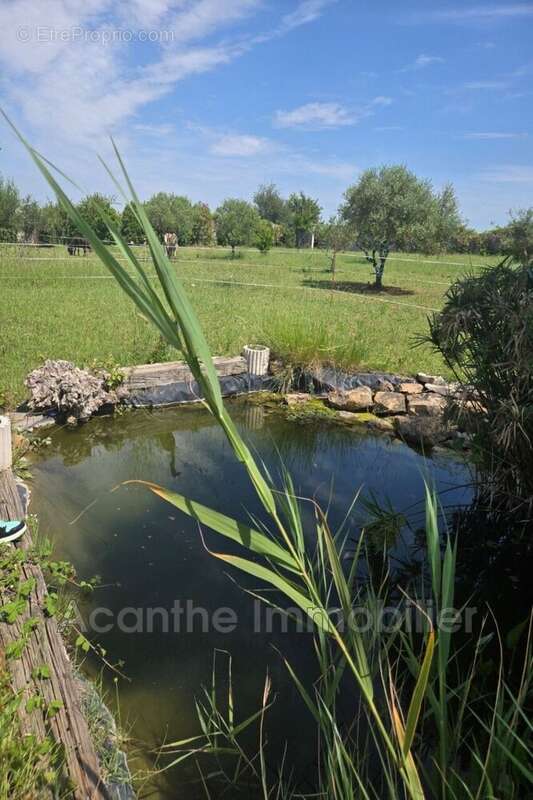 Maison 141 m² à Lunel-Viel  - photo 8