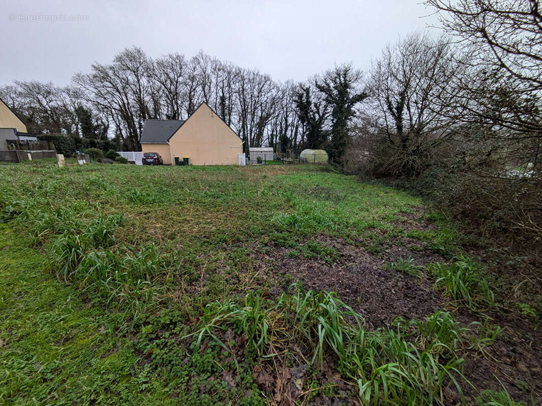 Terrain à HERBIGNAC