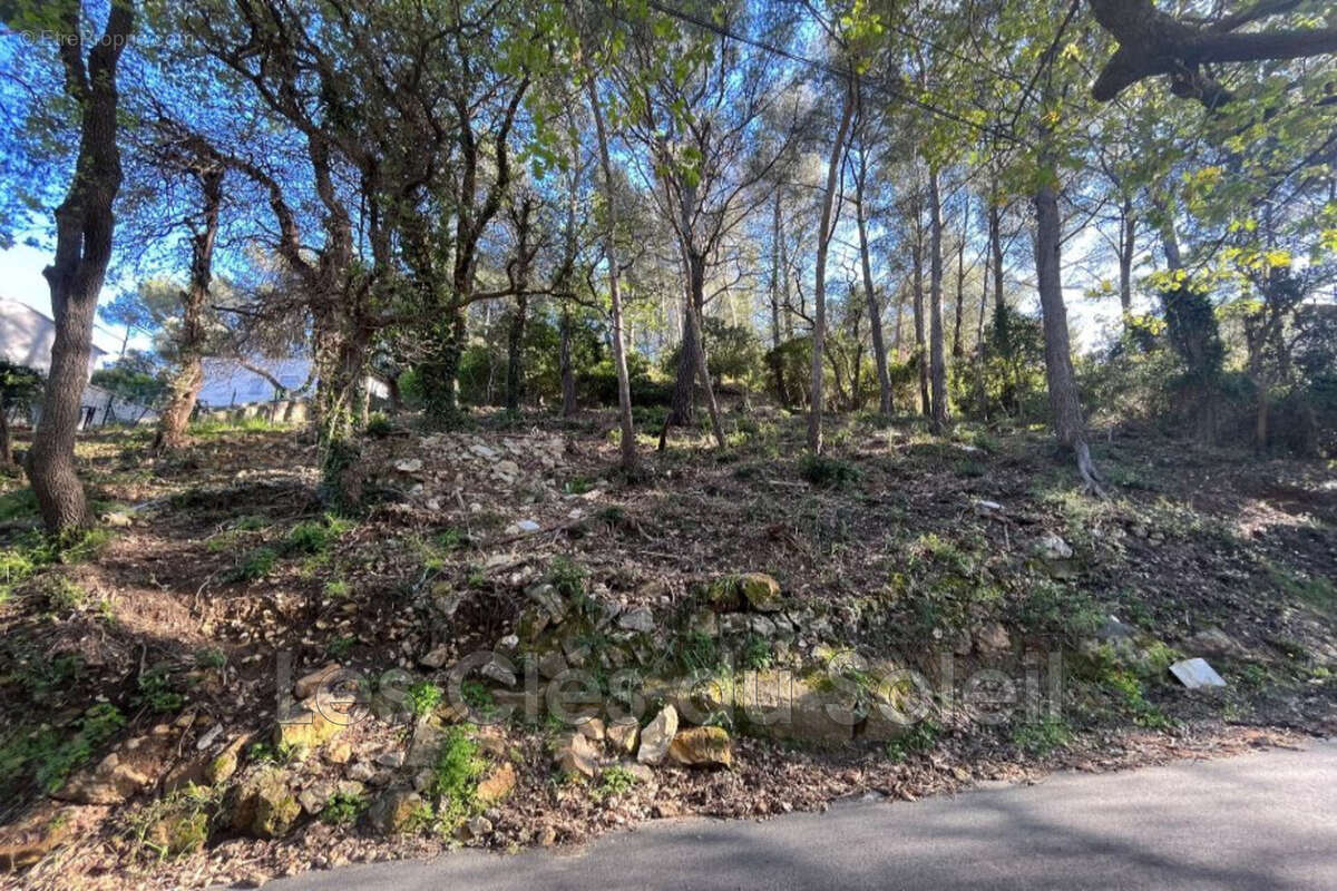 Terrain à LE REVEST-LES-EAUX