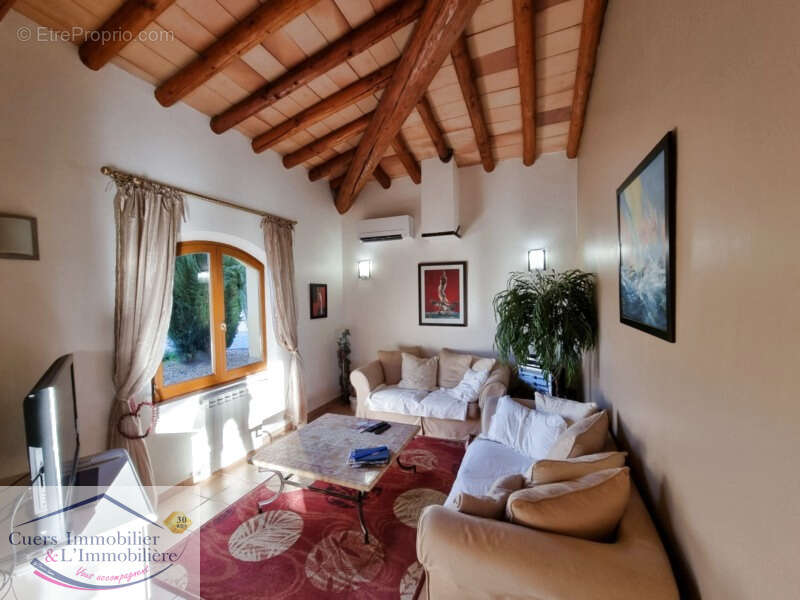 La crau villa t5 avec dependances et piscine - photo 24